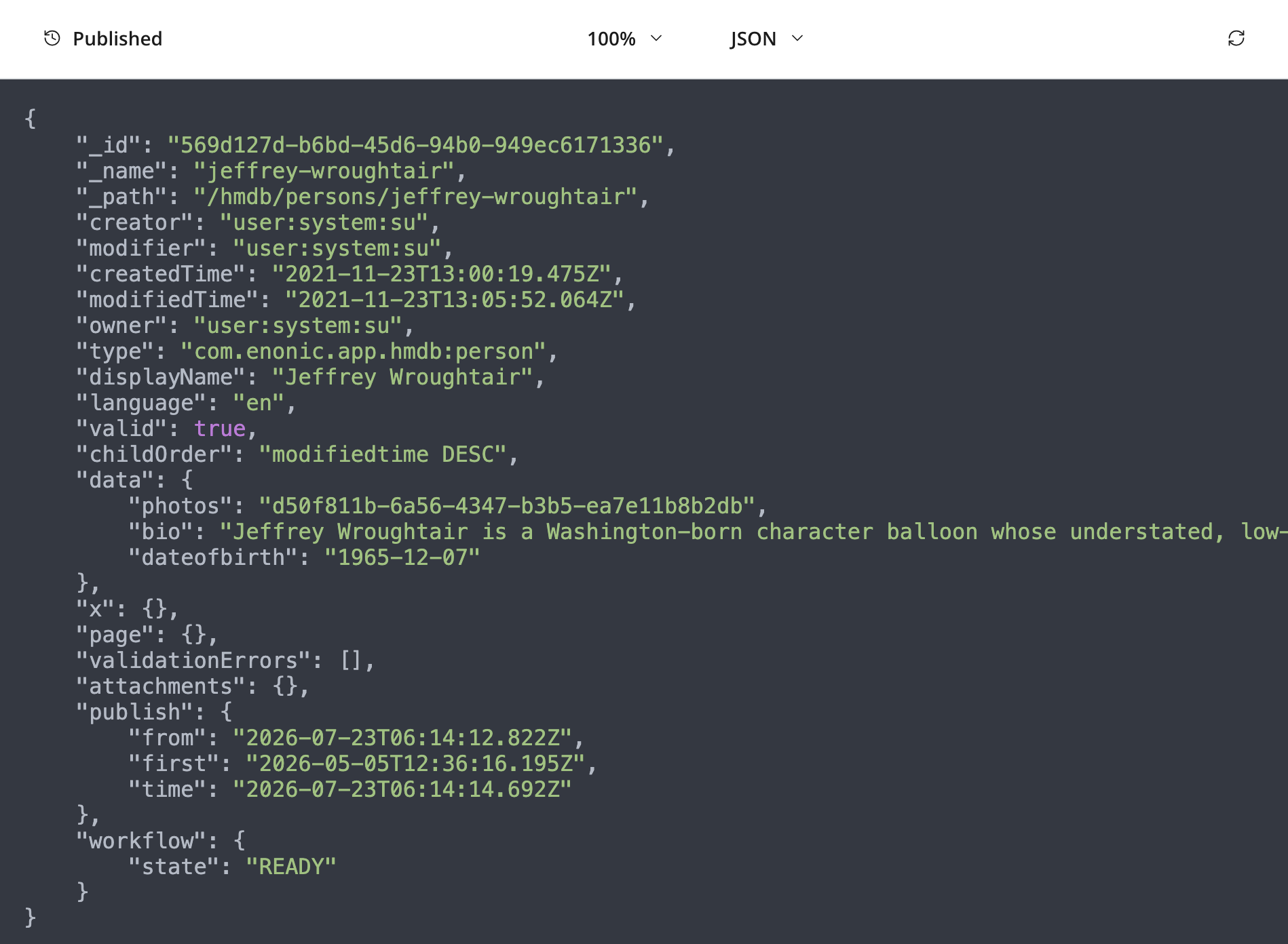 Preview panel in JSON mode