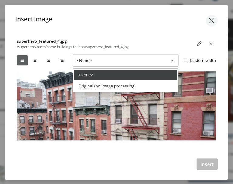 Image dialog with all available options where the style dropdown is opened