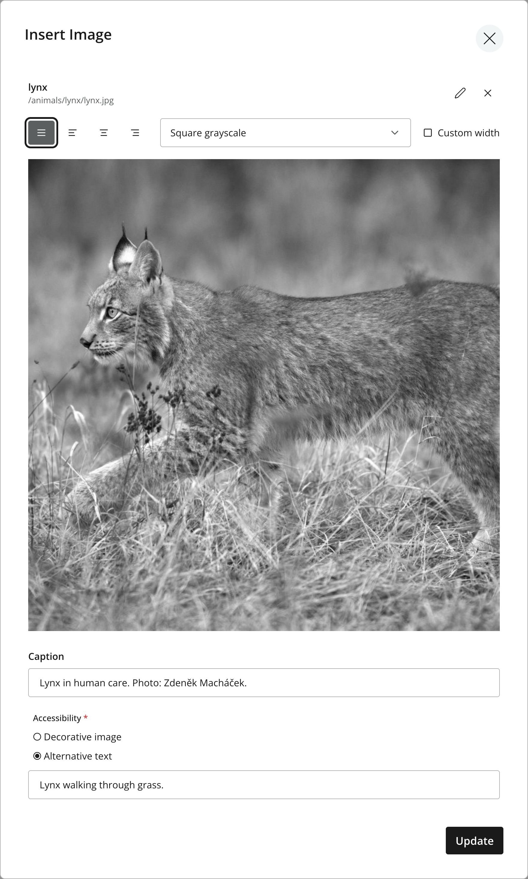 Insert Image dialog with Square grayscale selected and a preview of the square, grayscale lynx photograph