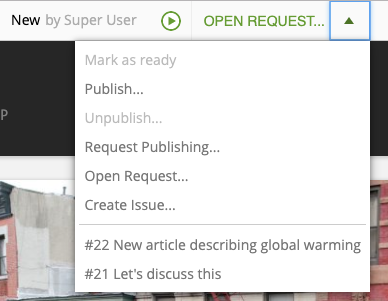 Issues and publish requests menu