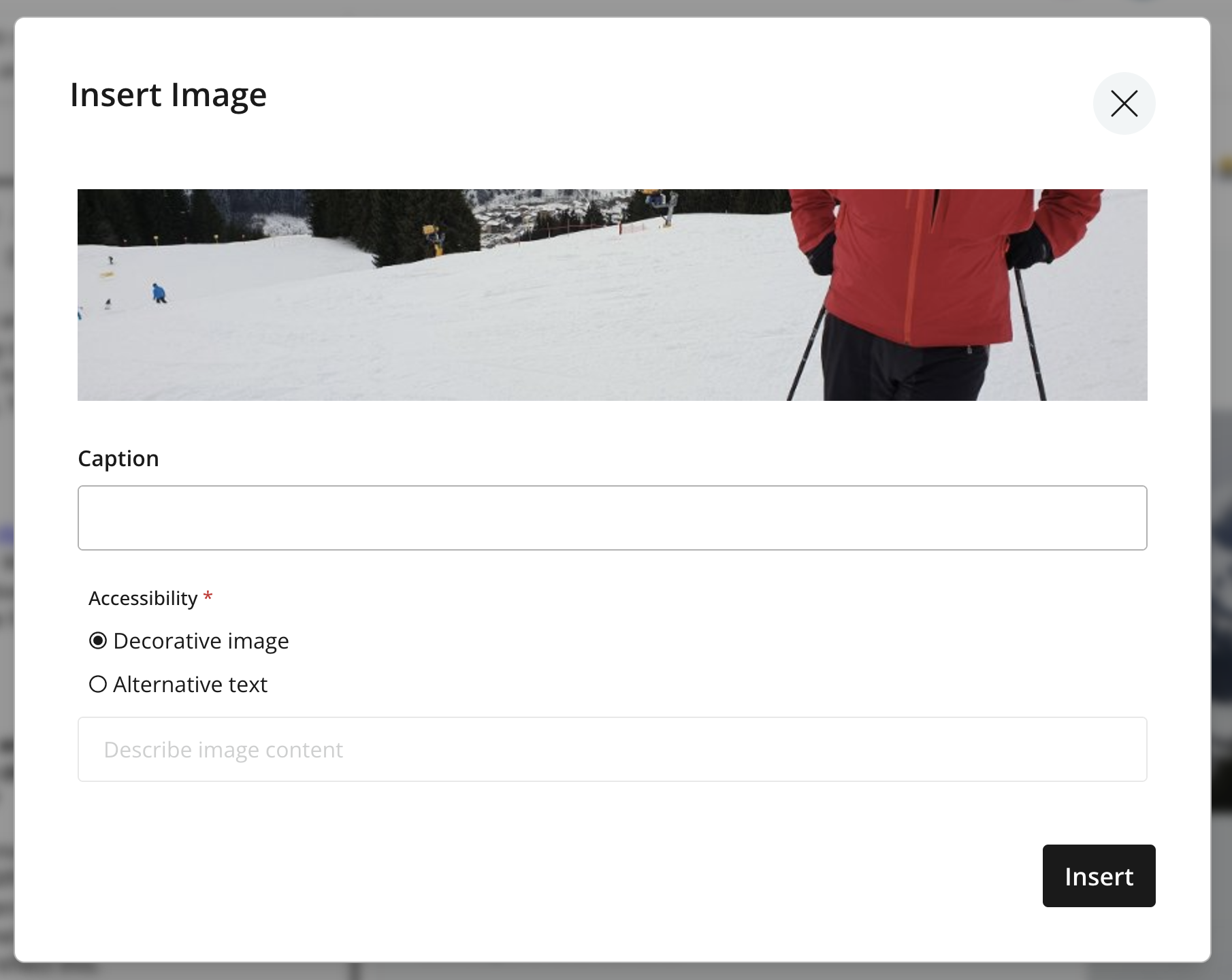 Insert Image dialog showing the caption and accessibility settings