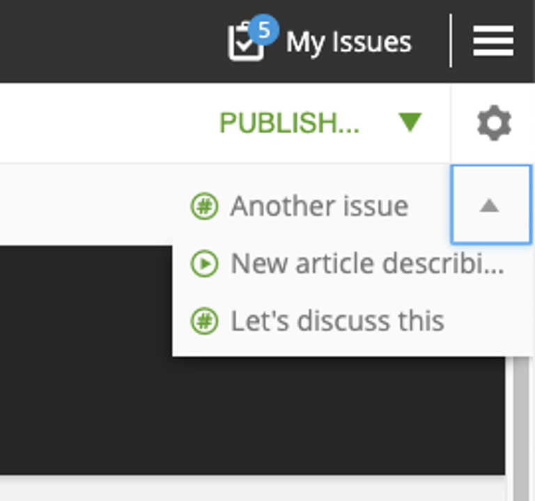 Issues menu in the Preview toolbar