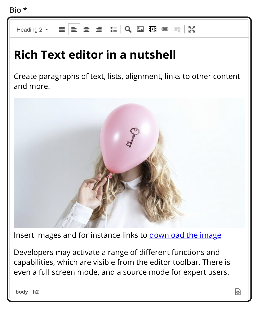 Rich Text Editor with its toolbar visible and content containing a heading, text, an image, and a link