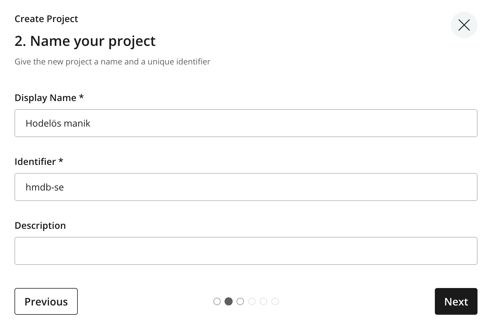 Project wizard with the new layer’s display name and identifier