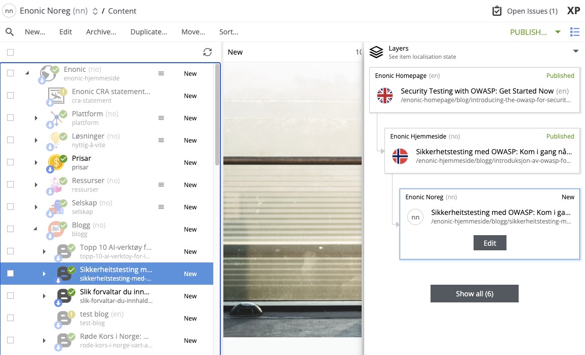 Layer widget