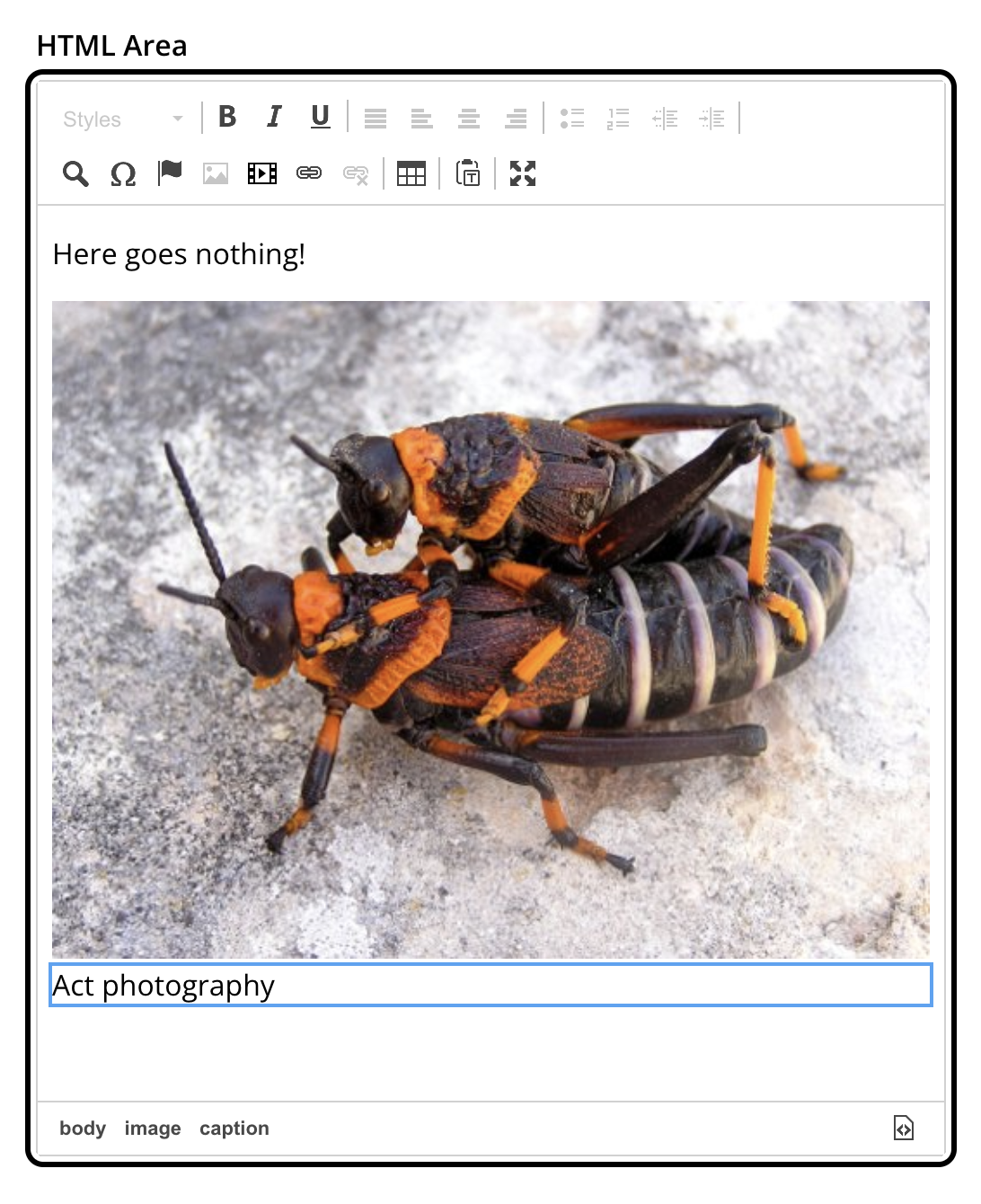 Editor with toolbar and several buttons for various formatting options