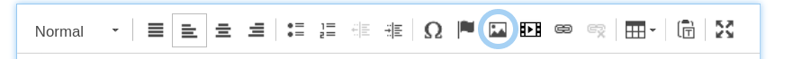 The rich text toolbar with the image tool circled by a blue circle
