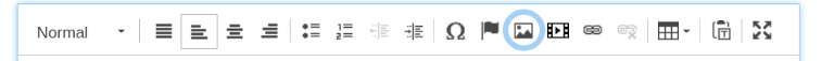 The rich text toolbar with the image tool circled by a blue circle