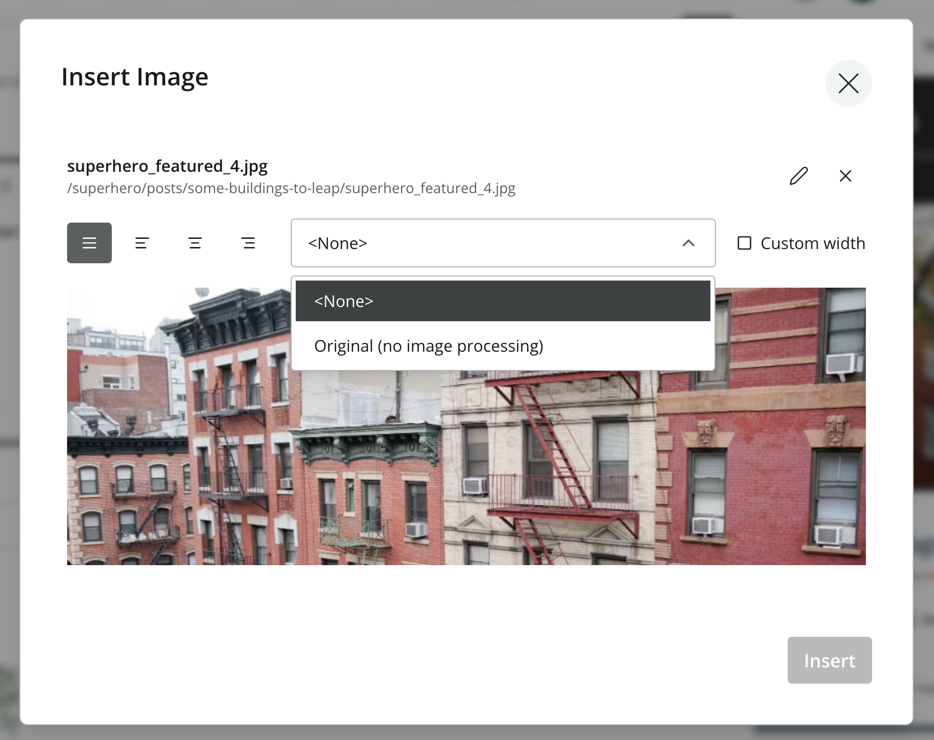 Image dialog with all available options where the style dropdown is opened