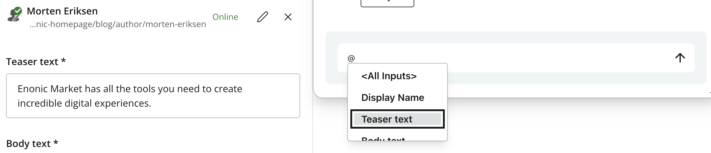 Typing @ opens the field picker with All Inputs, Display Name, Teaser text, and Body text