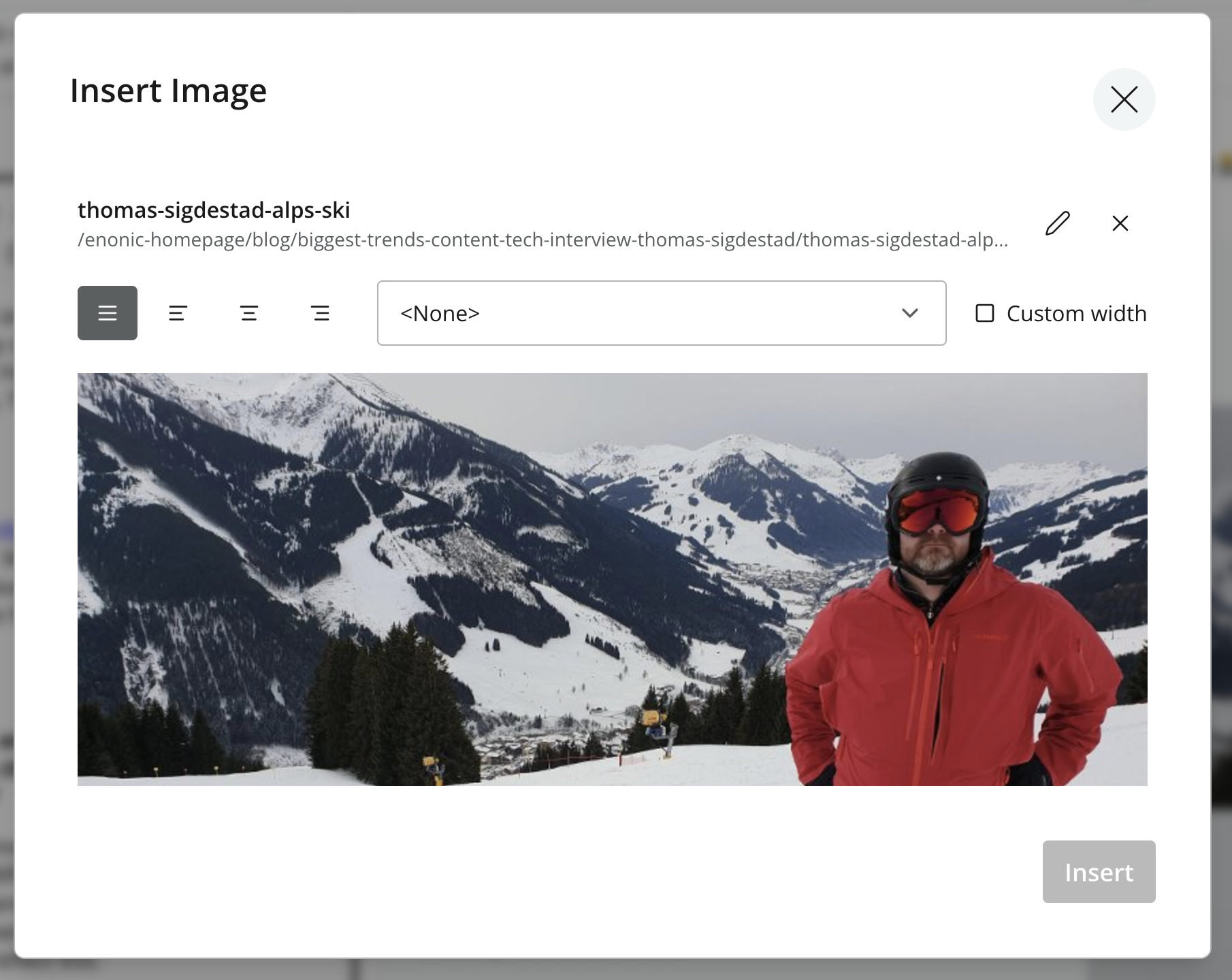 Insert Image dialog showing alignment, style, and custom-width controls