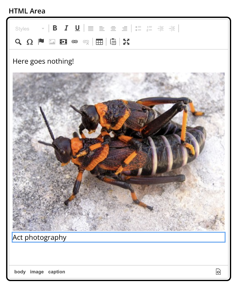Editor with toolbar and several buttons for various formatting options