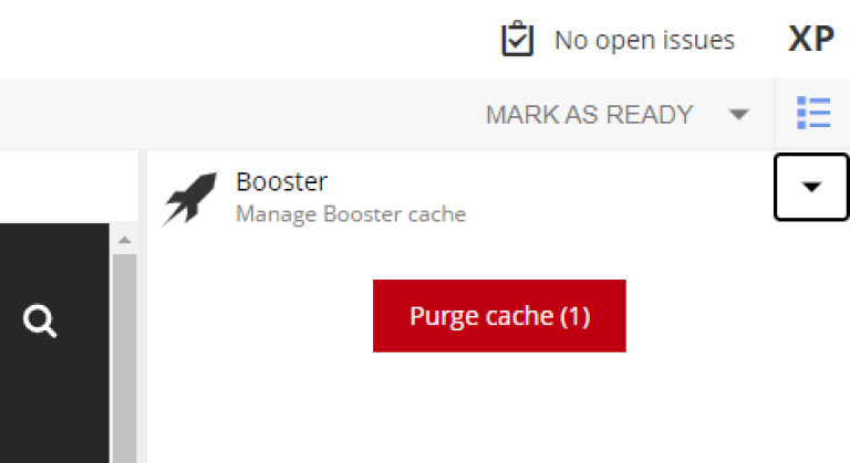 Purge cache via widget