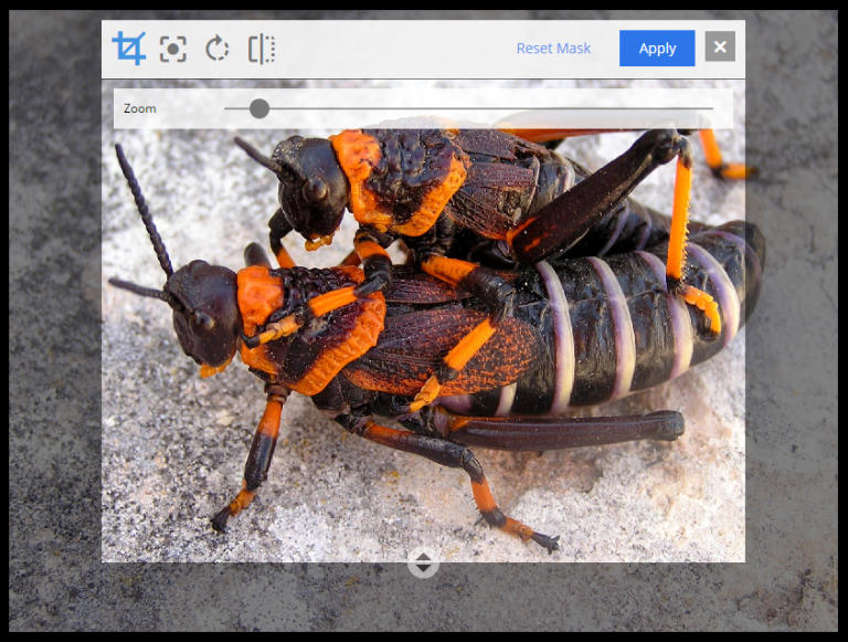 Cropping an image