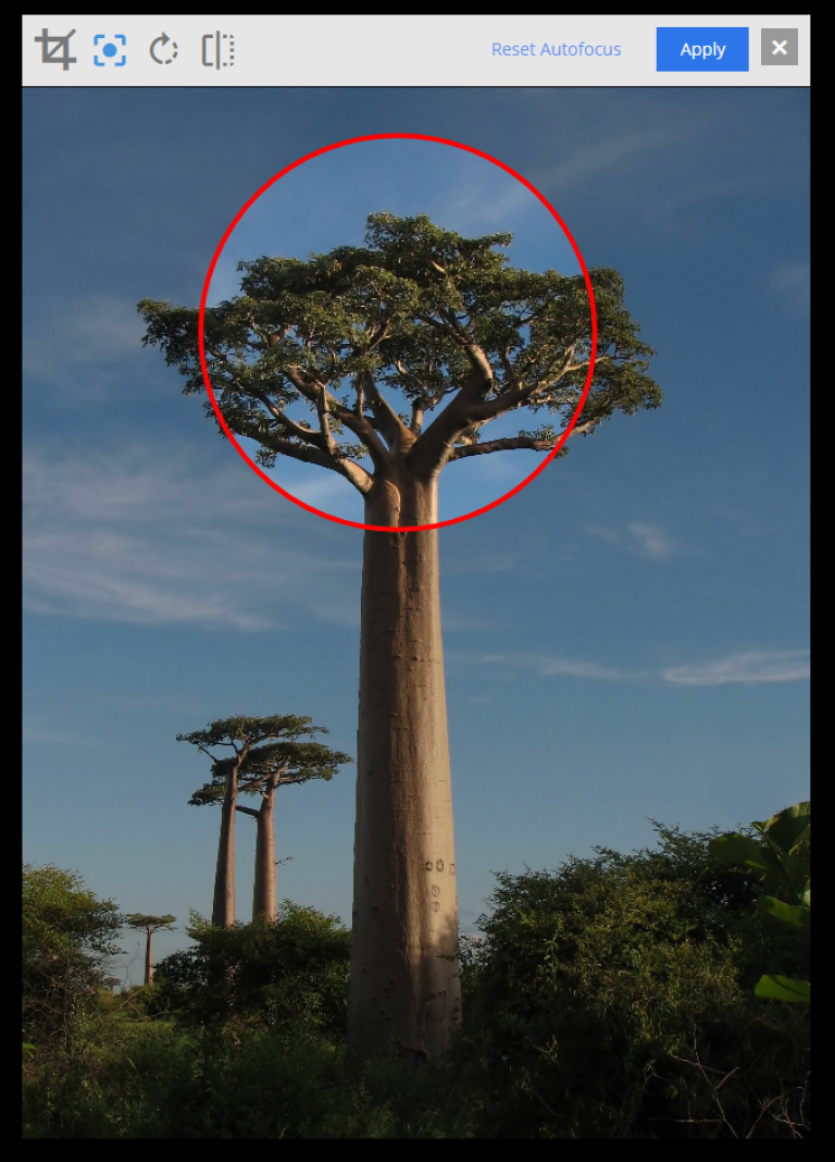 Setting the focal point