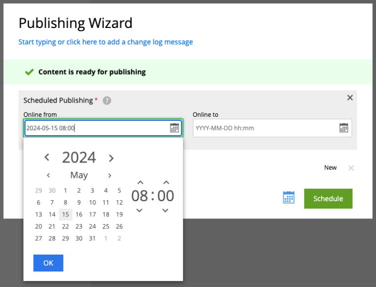 Default Online From time in the Publishing Wizard