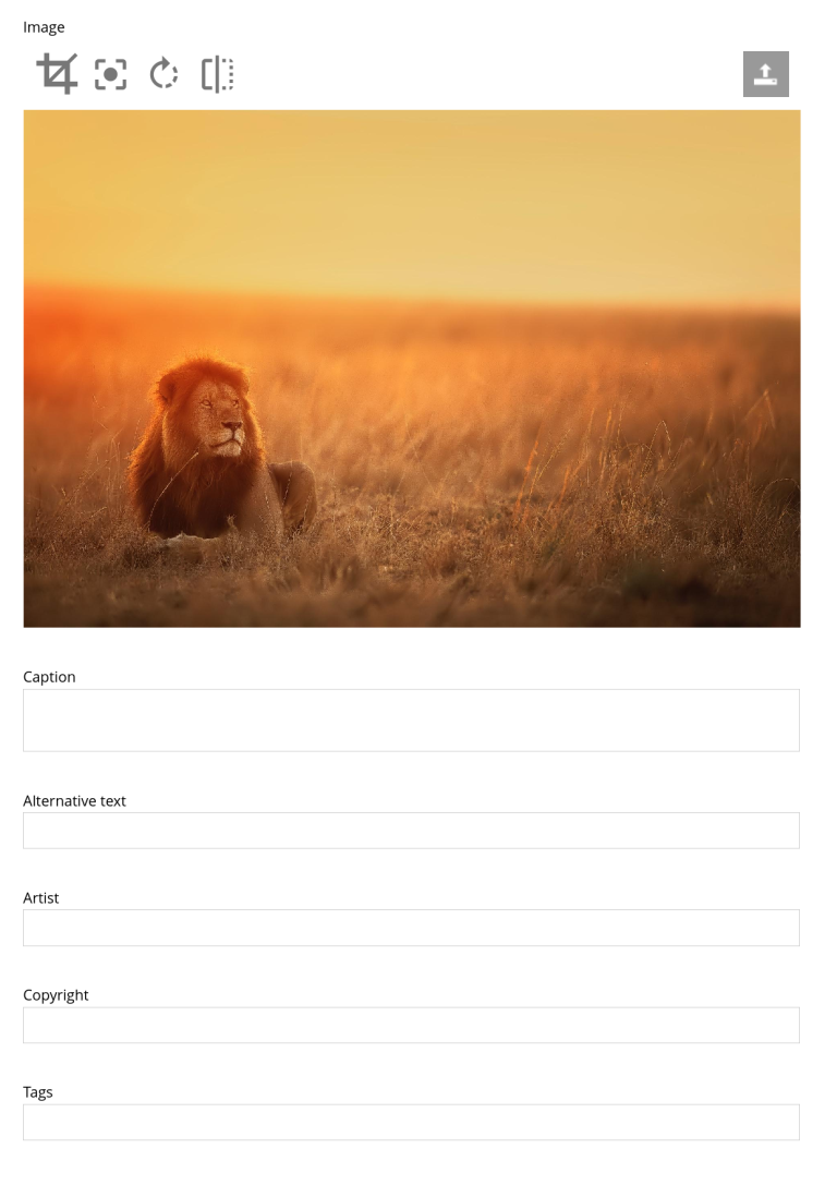 A content form showing the image with image editing tools, inputs for caption, alternative text, copyright, and tags.