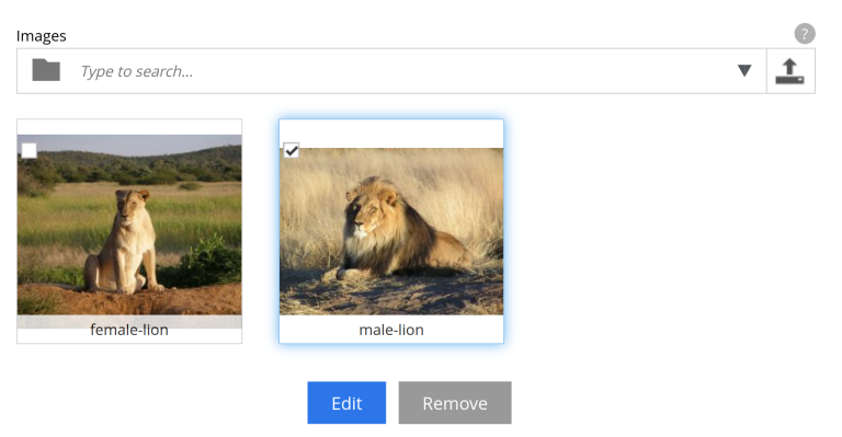 The image selector input field with two images of lions — one male, one female - - below. Under the images, there’s a set of buttons saying 'edit' and 'remove'.