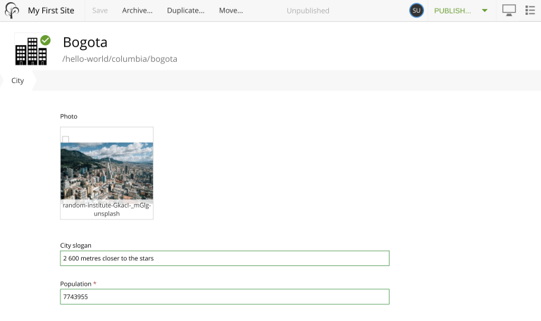 Form for the city content type