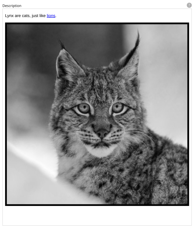 The description rich text showing the results of applying the image styles to the image