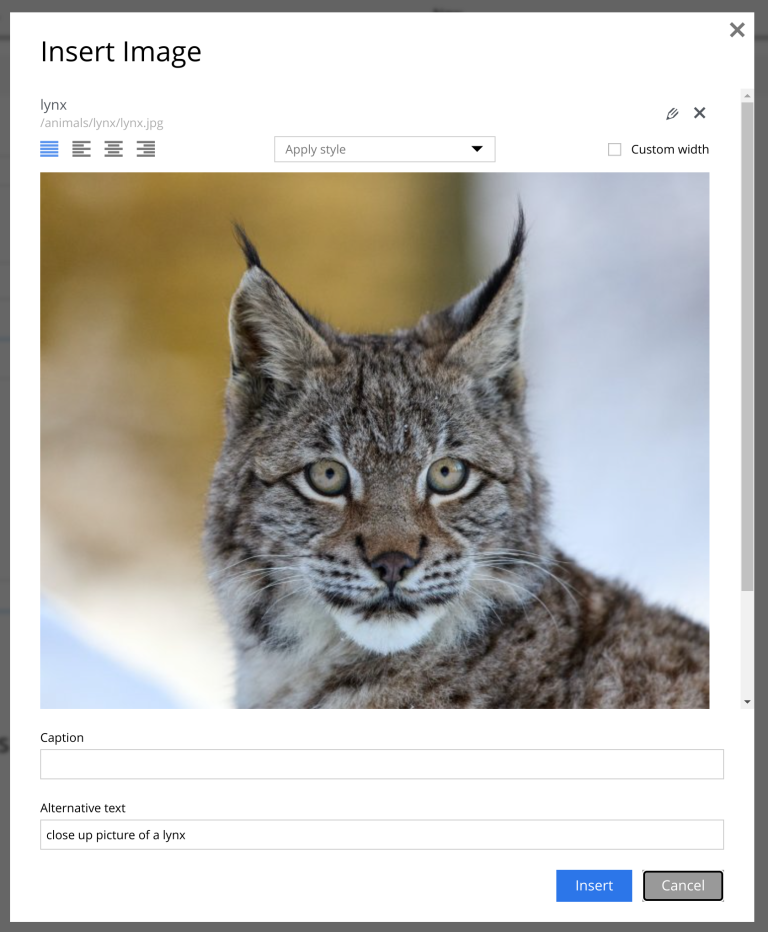 The insert image dialog, showing the image, an image styles dropdown, caption, and alt text fields
