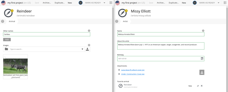 An animal content wizard next to an artist wizard
