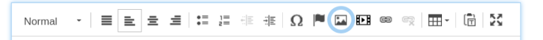 The rich text toolbar with the image tool circled by a blue circle