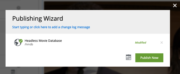 Publishing wizard publish